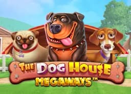 thesouthernsocialtx: The Dog House Megaways